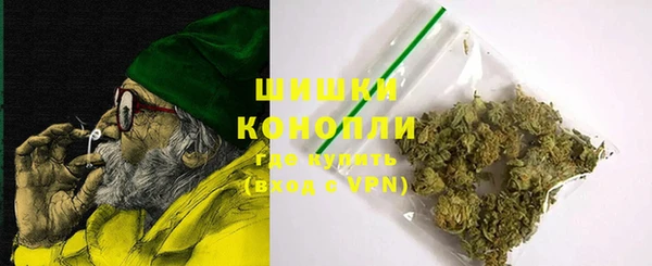 стаф Осташков