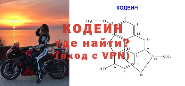 стаф Осташков