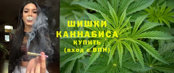 стаф Осташков