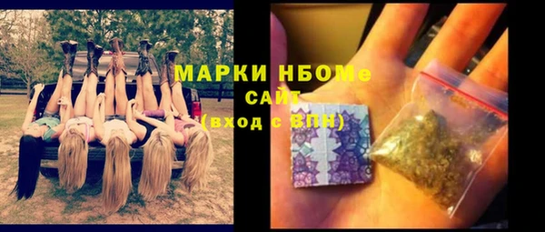 стаф Осташков