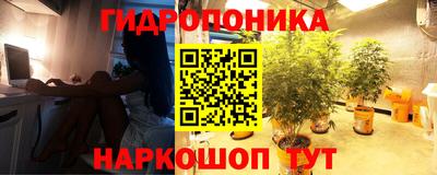 Альфа ПВП Ликино-Дулёво