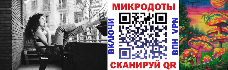 купить   Новосибирск  Псилоцибиновые грибы Psilocybe 