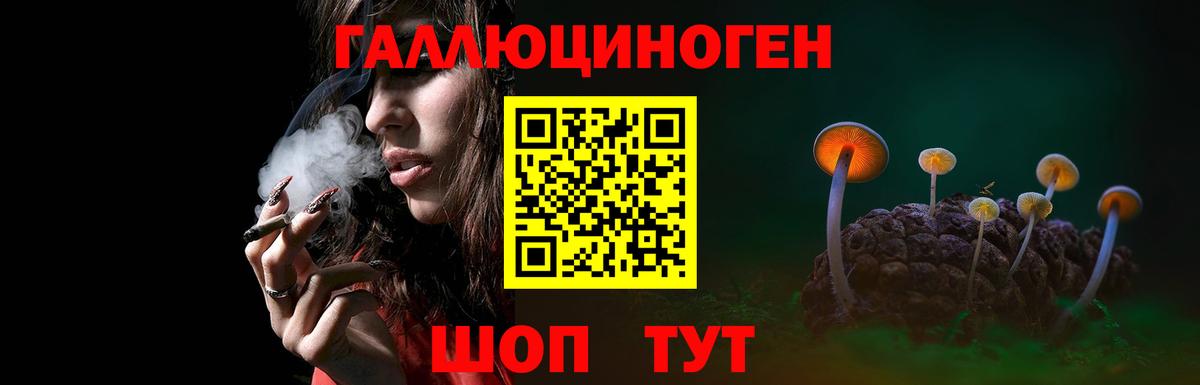 где продают наркотики  Псилоцибиновые грибы прущие грибы  Вход с VPN  Новосибирск  Галлюциногенные грибы ЛСД 